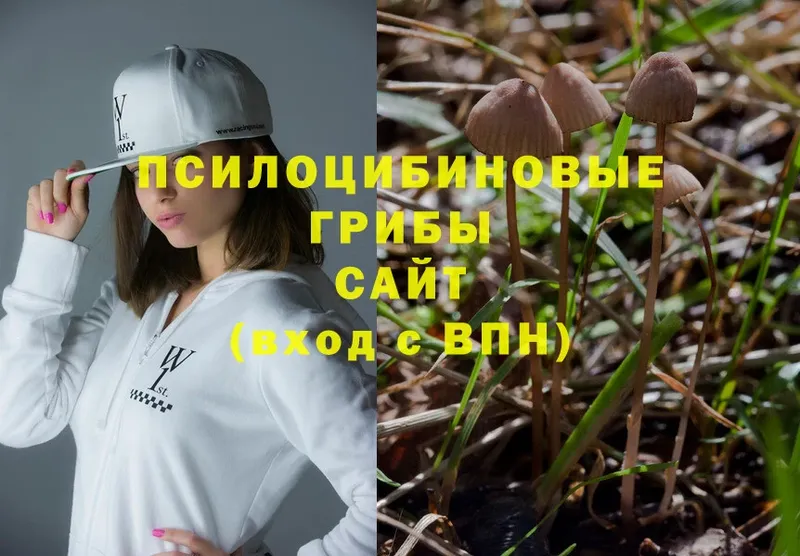 купить  сайты  Саратов  Галлюциногенные грибы MAGIC MUSHROOMS 